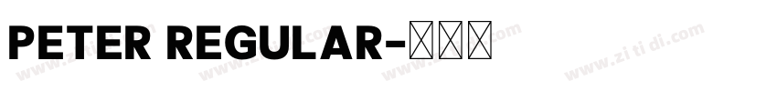 Peter Regular字体转换